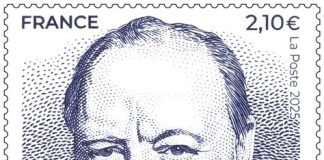 AI Is Coming to a Collection Near You